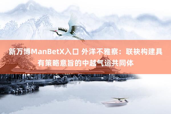 新万博ManBetX入口 外洋不雅察：联袂构建具有策略意旨的中越气运共同体