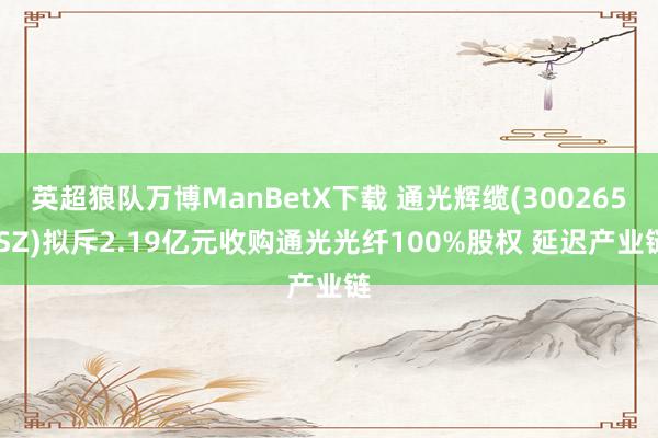 英超狼队万博ManBetX下载 通光辉缆(300265.SZ)拟斥2.19亿元收购通光光纤100%股权 延迟产业链