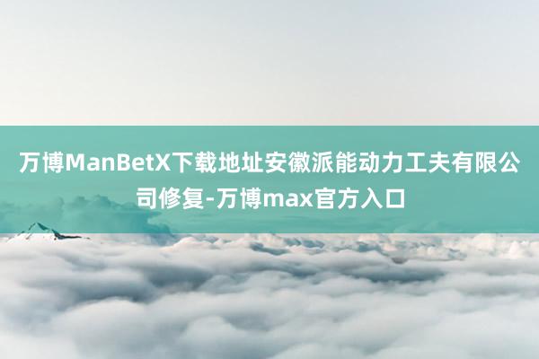 万博ManBetX下载地址安徽派能动力工夫有限公司修复-万博max官方入口