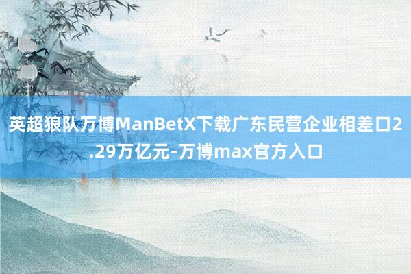 英超狼队万博ManBetX下载广东民营企业相差口2.29万亿元-万博max官方入口