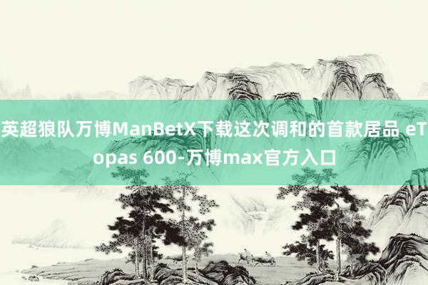 英超狼队万博ManBetX下载这次调和的首款居品 eTopas 600-万博max官方入口