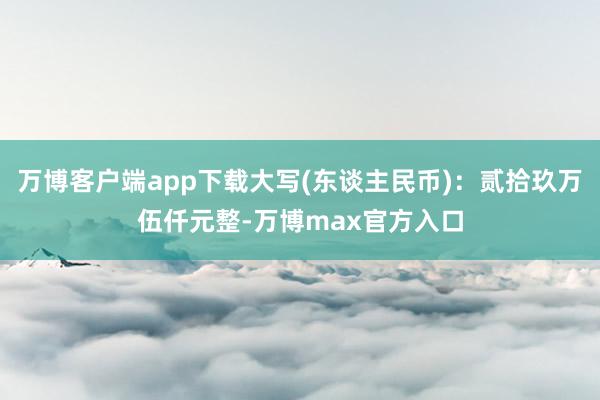 万博客户端app下载大写(东谈主民币)：贰拾玖万伍仟元整-万博max官方入口