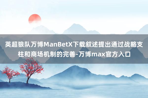 英超狼队万博ManBetX下载叙述提出通过战略支柱和商场机制的完善-万博max官方入口