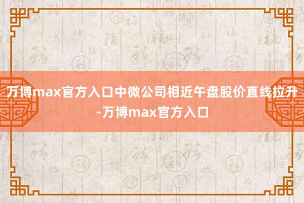 万博max官方入口中微公司相近午盘股价直线拉升-万博max官方入口