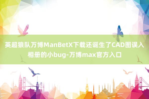 英超狼队万博ManBetX下载还诞生了CAD图误入相册的小bug-万博max官方入口