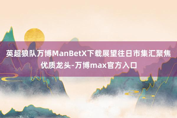 英超狼队万博ManBetX下载展望往日市集汇聚焦优质龙头-万博max官方入口